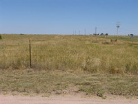 Grover looking towards Sterling