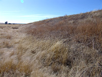 The Union Pacific Transcontinental Railroad in Cheyenne